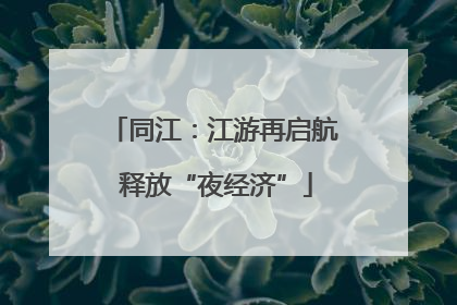 同江：江游再启航 释放“夜经济”
