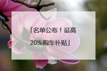 名单公布！最高20%购车补贴