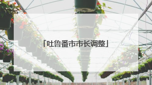 吐鲁番市市长调整