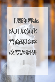 周迎春率队开展优化营商环境整改专题调研