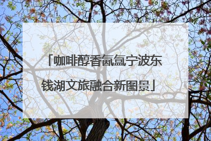 咖啡醇香氤氲宁波东钱湖文旅融合新图景