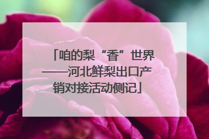 咱的梨“香”世界——河北鲜梨出口产销对接活动侧记