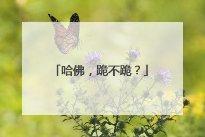 哈佛，跪不跪？