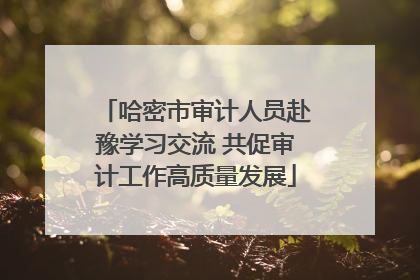 哈密市审计人员赴豫学习交流 共促审计工作高质量发展
