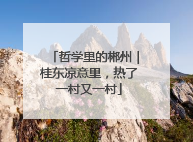 哲学里的郴州｜桂东凉意里，热了一村又一村