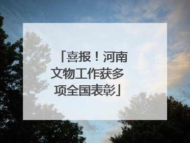 喜报！河南文物工作获多项全国表彰