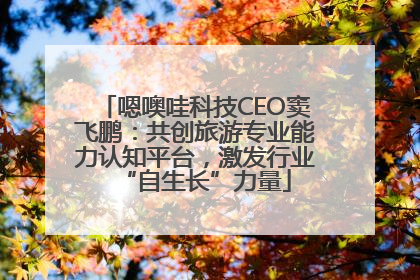 嗯噢哇科技CEO窦飞鹏：共创旅游专业能力认知平台，激发行业“自生长”力量