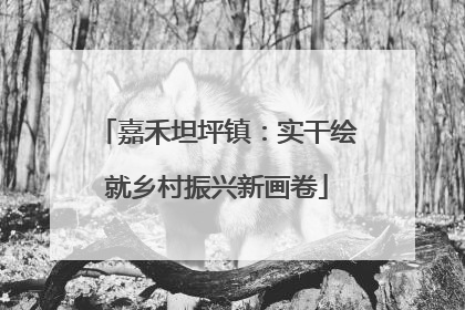 嘉禾坦坪镇：实干绘就乡村振兴新画卷