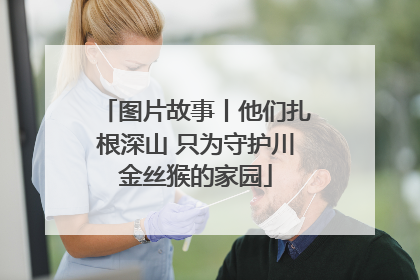 图片故事丨他们扎根深山 只为守护川金丝猴的家园