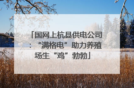 国网上杭县供电公司：“满格电”助力养殖场生“鸡”勃勃
