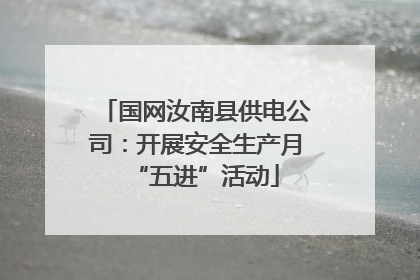国网汝南县供电公司：开展安全生产月“五进”活动
