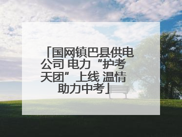 国网镇巴县供电公司 电力“护考天团”上线 温情助力中考