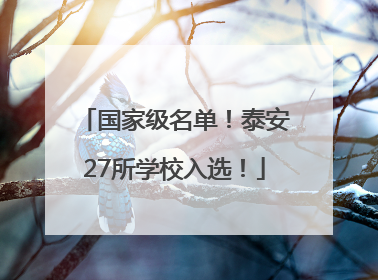 国家级名单！泰安27所学校入选！
