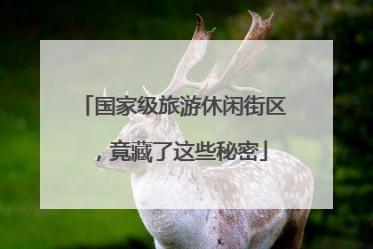 国家级旅游休闲街区，竟藏了这些秘密