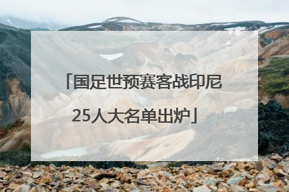 国足世预赛客战印尼25人大名单出炉