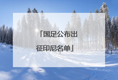 国足公布出征印尼名单