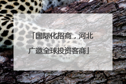 国际化招商，河北广邀全球投资客商