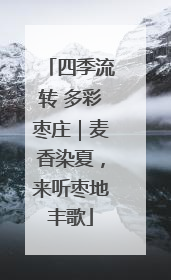 四季流转 多彩枣庄｜麦香染夏，来听枣地丰歌