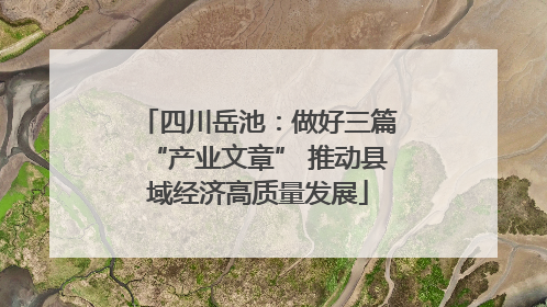四川岳池：做好三篇“产业文章” 推动县域经济高质量发展