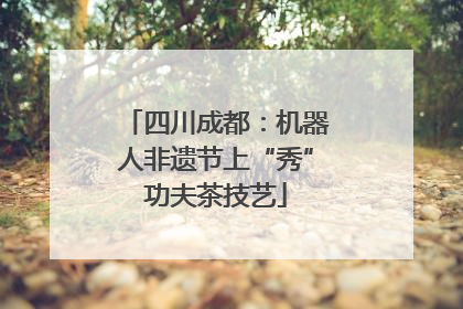四川成都：机器人非遗节上“秀”功夫茶技艺