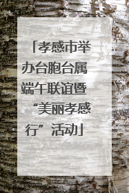 孝感市举办台胞台属端午联谊暨“美丽孝感行”活动