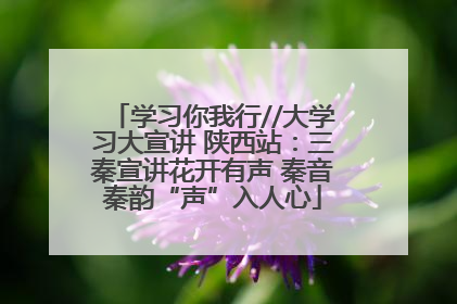 学习你我行//大学习大宣讲 陕西站：三秦宣讲花开有声 秦音秦韵“声”入人心