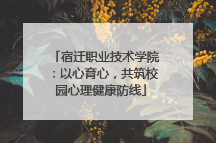 宿迁职业技术学院：以心育心，共筑校园心理健康防线
