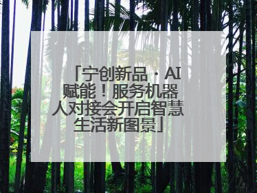 宁创新品・AI 赋能！服务机器人对接会开启智慧生活新图景