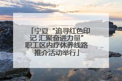 宁夏“追寻红色印记 汇聚奋进力量”职工区内疗休养线路推介活动举行