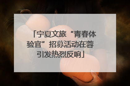 宁夏文旅“青春体验官”招募活动在蓉引发热烈反响