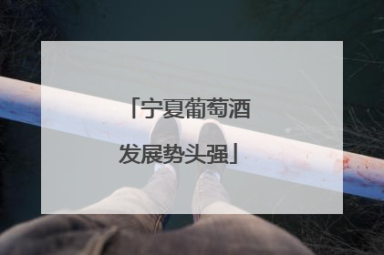宁夏葡萄酒发展势头强