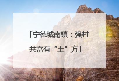 宁德城南镇：强村共富有“土”方