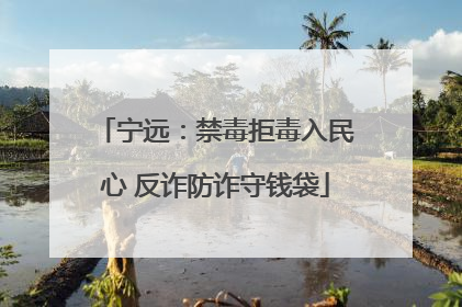 宁远：禁毒拒毒入民心 反诈防诈守钱袋