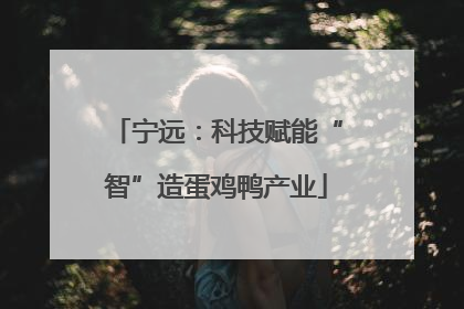 宁远：科技赋能“智”造蛋鸡鸭产业