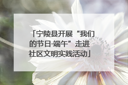 宁陵县开展“我们的节日·端午”走进社区文明实践活动