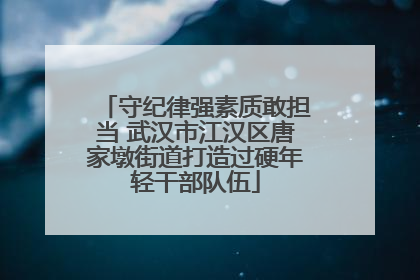 守纪律强素质敢担当 武汉市江汉区唐家墩街道打造过硬年轻干部队伍