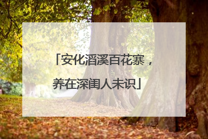 安化滔溪百花寨，养在深闺人未识