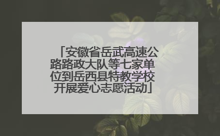 安徽省岳武高速公路路政大队等七家单位到岳西县特教学校开展爱心志愿活动
