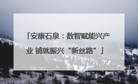 安康石泉：数智赋能兴产业 铺就振兴“新丝路”