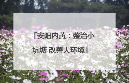 安阳内黄：整治小坑塘 改善大环境