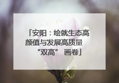 安阳：绘就生态高颜值与发展高质量 “双高” 画卷