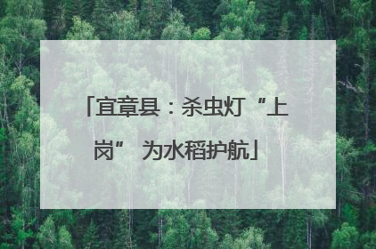 宜章县：杀虫灯“上岗” 为水稻护航