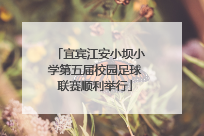 宜宾江安小坝小学第五届校园足球联赛顺利举行