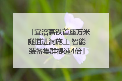 宜涪高铁首座万米隧道进洞施工 智能装备集群提速4倍