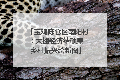 宝鸡陈仓区南阳村：大棚经济结硕果 乡村振兴绘新图