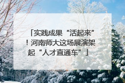 实践成果“活起来”！河南师大这场展演架起“人才直通车”