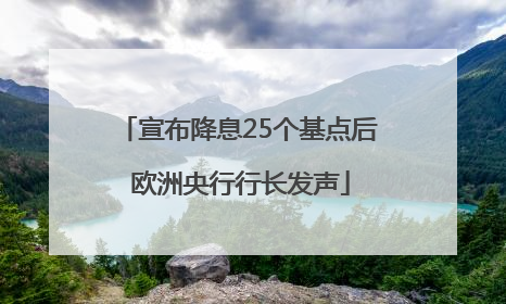 宣布降息25个基点后 欧洲央行行长发声