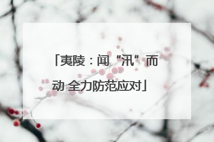 夷陵：闻“汛”而动 全力防范应对