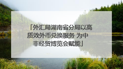 外汇局湖南省分局以高质效外币兑换服务 为中非经贸博览会赋能