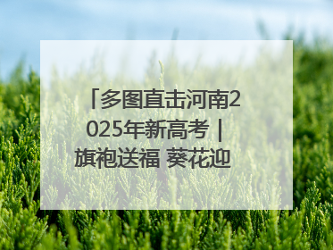 多图直击河南2025年新高考｜旗袍送福 葵花迎胜——许昌高考首日拉开帷幕
